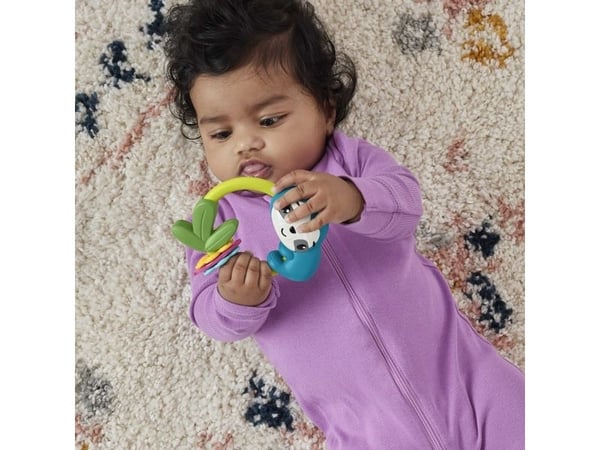 Fisher-Price Fisher-Pricen eläinaiheinen vauvanlelukokoelma, helistin, purulelu ja naksuva lelu vastasyntyneille, Poika/tyttö, 3 kuukautta, Tuottaa...