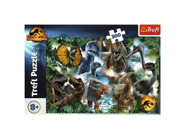 Trefl 23013, 300 styck, Andra, 8 År