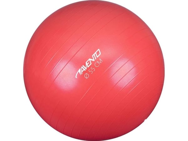 Treningsball 55 cm AVENTO 42OA sølv