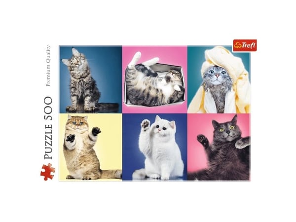 TREFL Puzzle 500 kattungar
