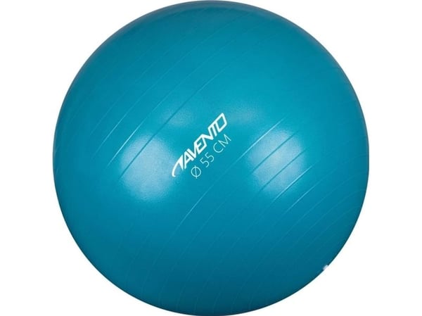Treningsball 55 cm AVENTO 42OA sølv