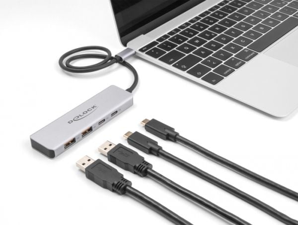 Delock - Hub - 10 Gbps, med 35 cm tilkoblingskabel - 2 x USB 3.1 Gen 2 + 2 x USB-C - stasjonær