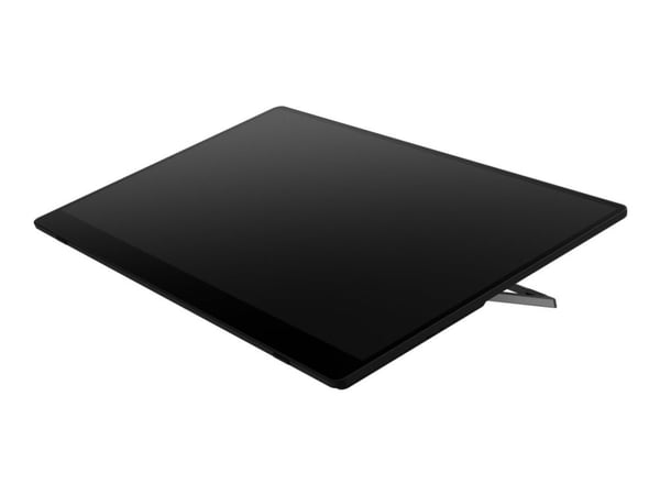 Ricoh 150 - OLED-skjerm - 15.6" - portabel - berøringsskjerm - 1920 x 1080 Full HD (1080p) @ 60 Hz - 300 cd/m² - 100000:1 - 1 ms - 2xUSB-C - høytta...