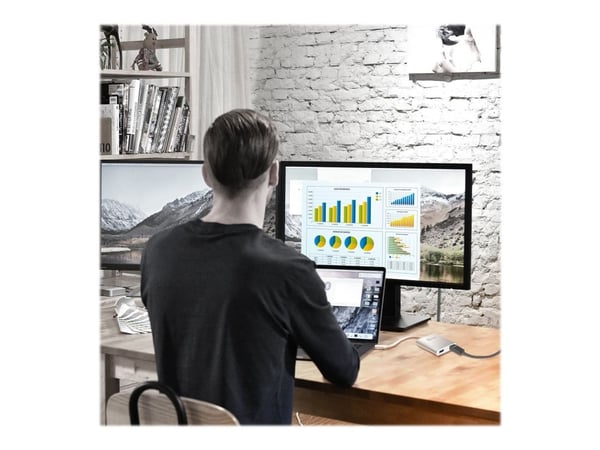 j5create JUA365 - Video adapter - 24 pin USB-C hann til HDMI hunn - 20 cm - sølv - 4 K 30 Hz (3840 x 2160) støtte, 2048 x 1152 støtter 60 Hz