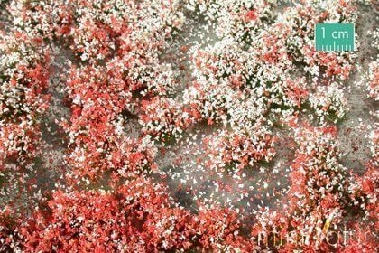 MiniNatur: Tuft - 1 Summer Flowering Vegetation (15x4 cm)