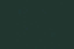 Brunswick Green 22 ml