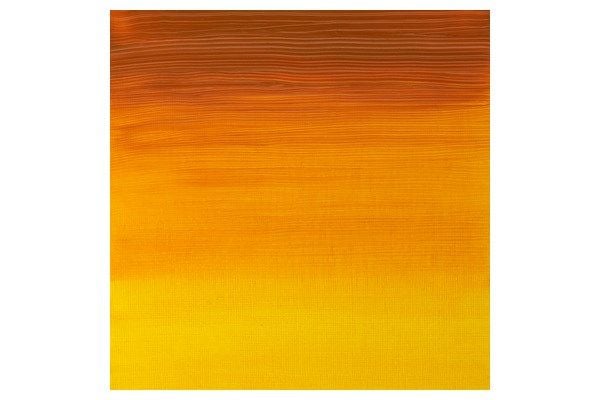 Artists oil colour 37 ml Indian yellow 319