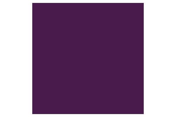 Promarker Aubergine V524