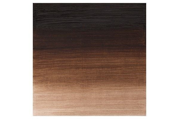 Winton oil 37 ml vandyke brown 676