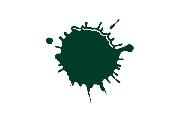 Prof Acrylic Ink 30 ml Phthalocyan Green (Bs) 317