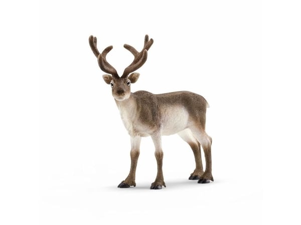 Schleich Wild Life 14837 Reinsdyr