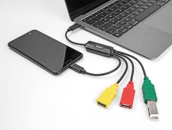 Delock - Hub - 4 x USB 2.0 - stasjonær - AC