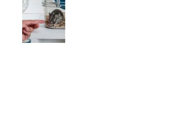 Zolux Hamster, musebur RODY 3 DUO farge blå