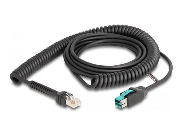 Delock - USB-kabel - USB PlusPower (hann) til RJ-50 (hann) - USB 2.0 - 12 V - 3 m - rullet sammen - svart