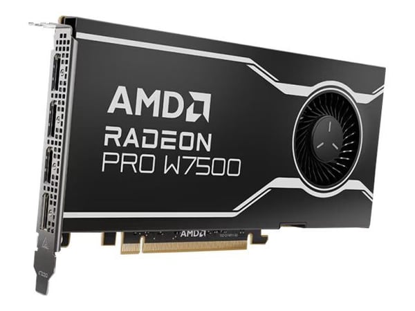 AMD Radeon Pro W7500 - Grafikkort - Radeon Pro W7500 - 8 GB GDDR6 - PCIe 4.0 x8 - 4 x DisplayPort