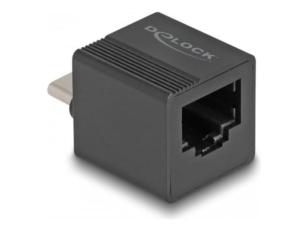 Delock Adapter til Gigabit LAN mini - Nettverksadapter - USB-C - Gigabit Ethernet x 1 - Svart (66462)