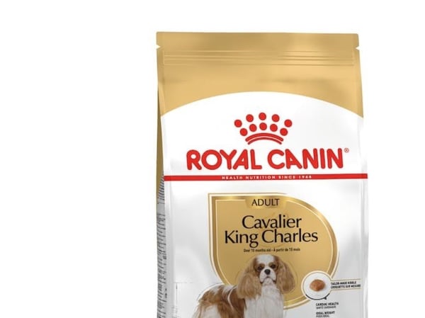 Royal Canin Cavalier King Charles Adult, Aikuinen, Cavalier kingcharlesinspanieli, 1,5 kg