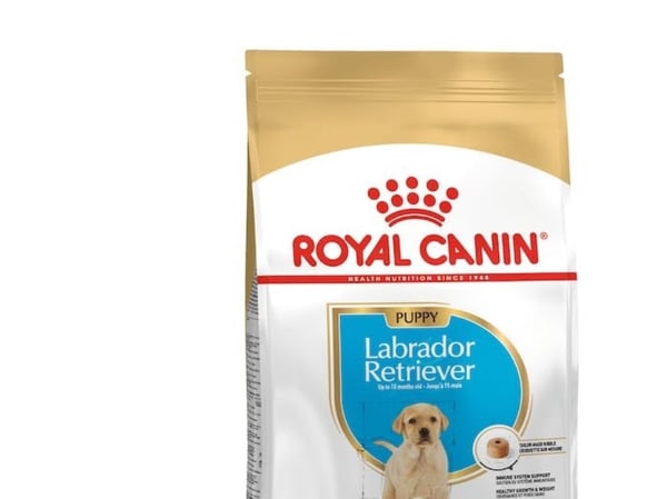 Royal Canin Labrador Retriever Junior, Valp, Maize, Fjærfe, Ris, 12 kg