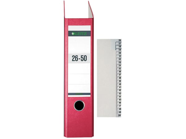 Leitz 13820085, Numeric tab index, Papir, Grå, 100 g/m², 240 mm, 210 mm