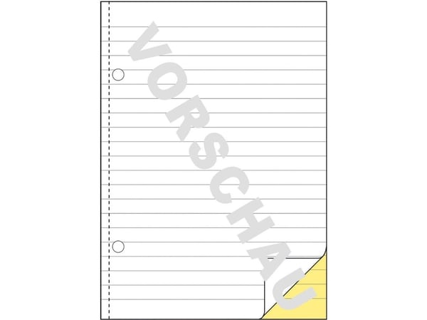 Avery Zweckform - Dupliseringsbok - 40 ark - A5 (148 x 210 mm) - dublett - karbonfri