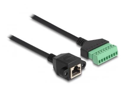 Delock - Nettverkadapterkabel - 8-pins terminalblokk (hunn) til RJ-45 (hunn) skrubar - 30 cm - UTP - CAT 6 - svart/grønn