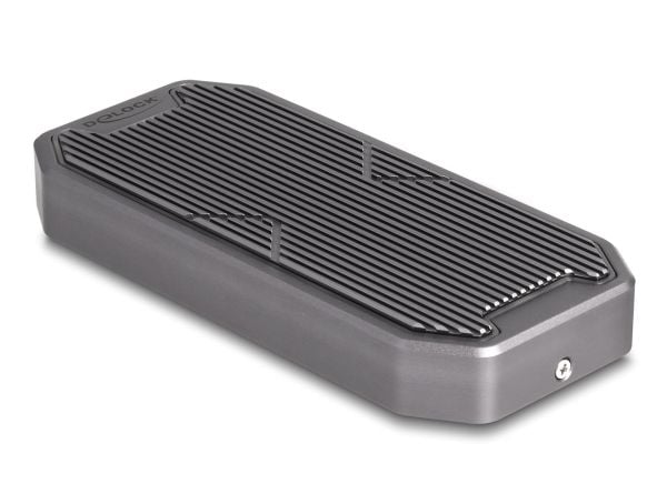 Delock - Drevkabinett - gaming, RGB LED illumination - M.2 - M.2 NVMe Card / PCIe (NVMe) - USB 3.2 (Gen 2x2) - grå