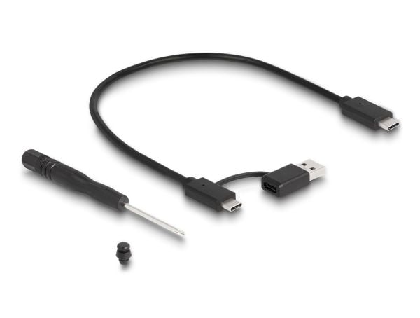 Delock - Drevkabinett - gaming, RGB LED illumination - M.2 - M.2 NVMe Card / PCIe (NVMe) - USB 3.2 (Gen 2x2) - grå