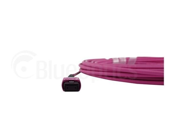 BlueOptics CBL-MPO12-4LC-OM4-1M-BO, 1 m, OM4, MPO, 4x LC