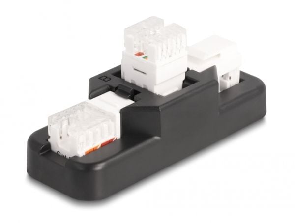 Delock - Modular insert holder - keystone LSA set, with clip-on holder - CAT 6 - RJ-11, RJ-45 - svart