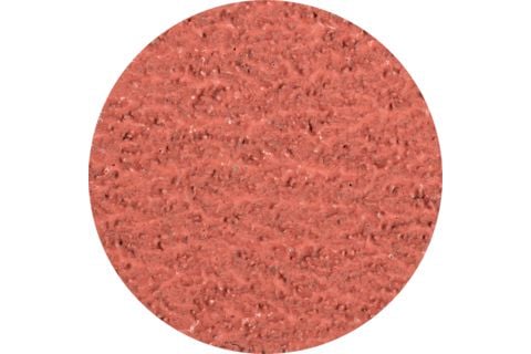 PFERD 42772503, Slipeskive, Universell, 13000 RPM, Rund, 5 cm, 100 stykker