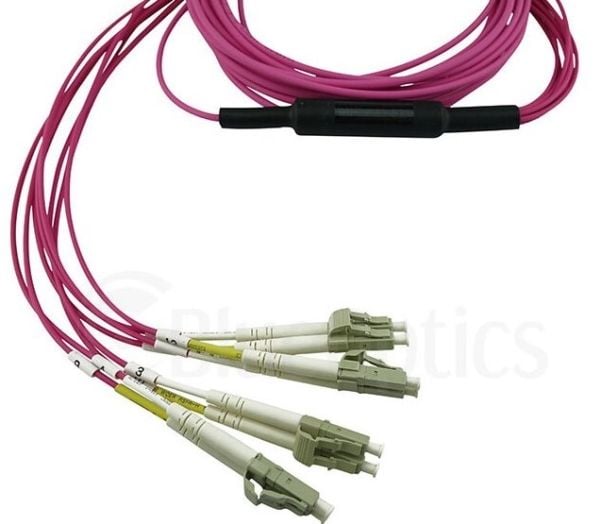 BlueOptics 3HE13896AA-1-BO, 1 m, OM4, MPO, 4x LC