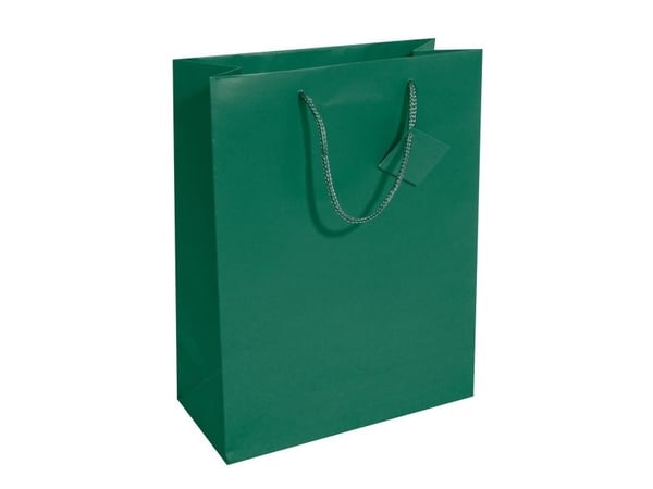 Sigel GT500, Gavepapirbag, Grønn, Monokromatisk, Papir, Matt, 157 g/m²