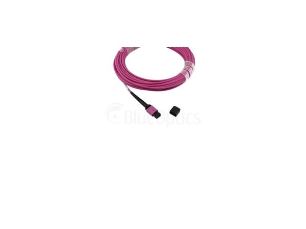 BlueOptics 3HE13896AA-2-BO, 2 m, OM4, MPO, 4x LC