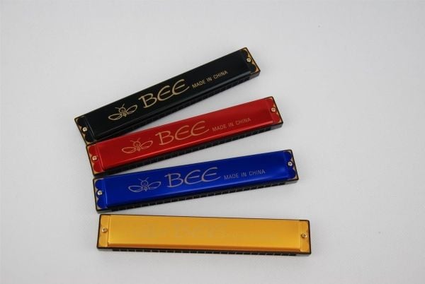 Dromedary Harmonica major