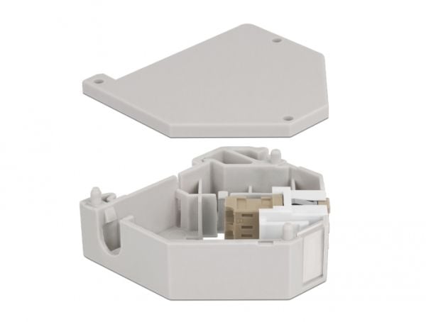 Delock - DIN-skinnemonteringsadapter for keystone-jakk - LC Duplex - beige