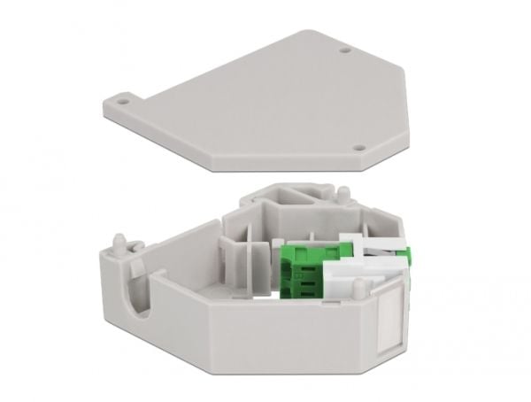 Delock - DIN-skinnemonteringsadapter for keystone-jakk - LC Duplex - grønn