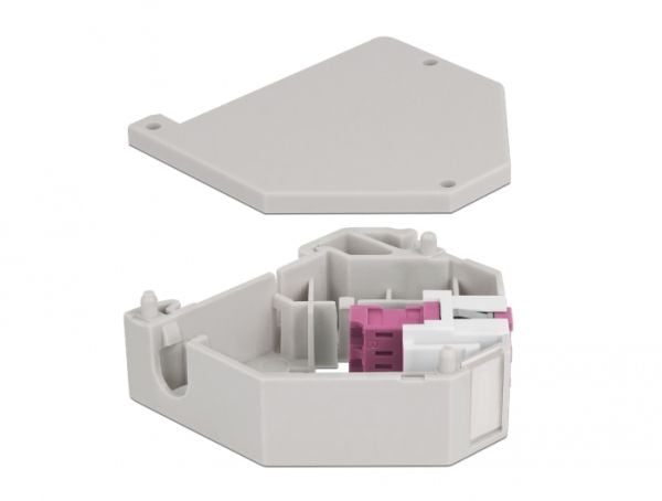 Delock - DIN-skinnemonteringsadapter for keystone-jakk - LC Duplex - fiolett