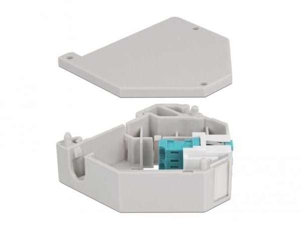 Delock - DIN-skinnemonteringsadapter for keystone-jakk - LC Duplex - akvamarin