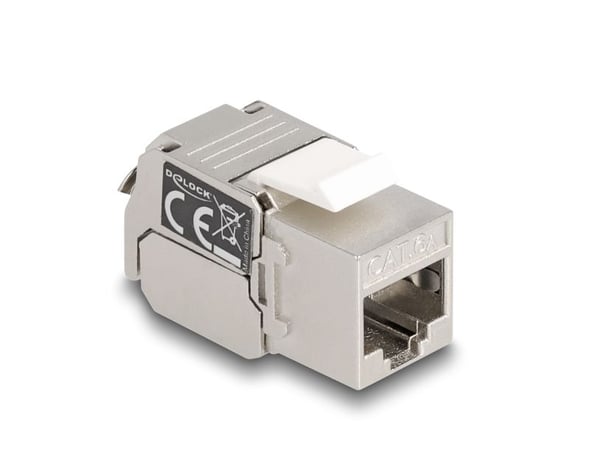 Delock - Trapetsjack - CAT 6a - RJ-45, LSA - vit, silver