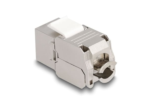 Delock - Trapetsjack - CAT 6a - RJ-45, LSA - vit, silver