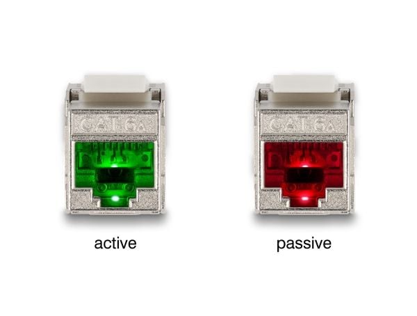 Delock - Trapetsjack - CAT 6a - RJ-45, LSA - vit, silver
