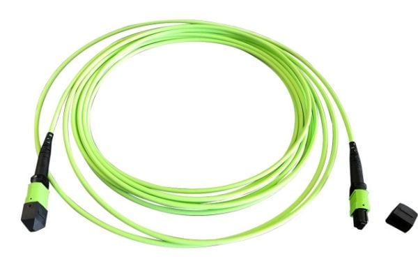 EFB Elektronik MTPF12MTPFOM5-2, 2 m, OM5, MTP, MTP