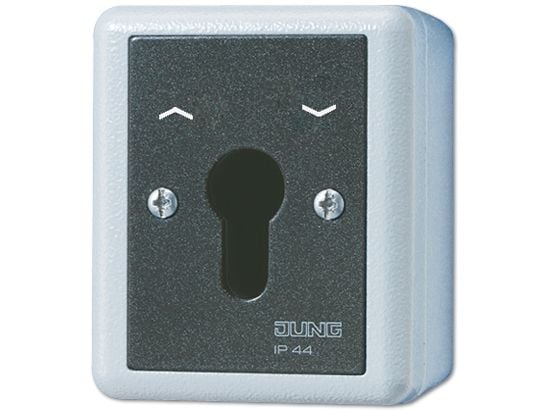 JUNG 834.28G, Avaimella varustettu kytkin, Musta, Valkoinen, IP44, 250 V, 10 A