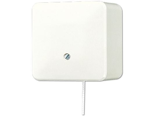 JUNG 606 ZA, Ketjukytkin, Langallinen, Duroplast, Norsunluu, 250 V, 10 A