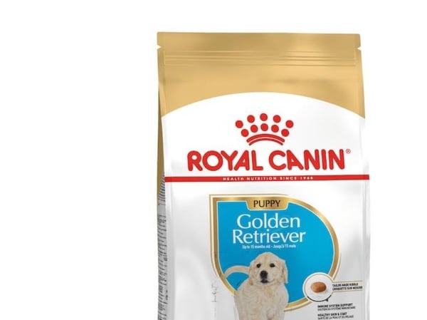 Royal Canin Golden Retriever Junior, Valp, Fjærfe, 12 kg