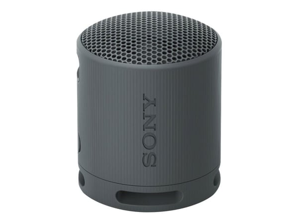 Sony SRS-XB100 - Högtalare - för bärbar användning - trådlös - Bluetooth - Appkontrollerad - svart