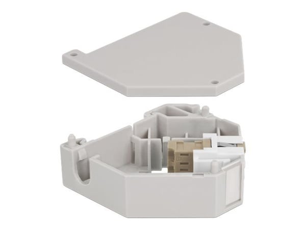 Delock - DIN-skinnemonteringsadapter for keystone-jakk - LC Duplex - beige