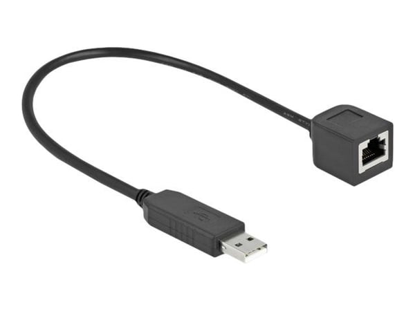 Delock - Seriell adapter - USB (hann) til RJ-45 (hunn) - 25 cm - USB / USB 2.0 / EIA-232 - svart