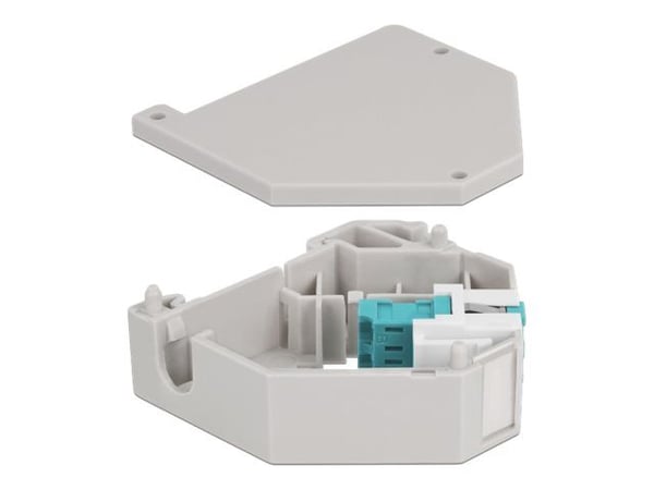 Delock - DIN-skinnemonteringsadapter for keystone-jakk - LC Duplex - akvamarin