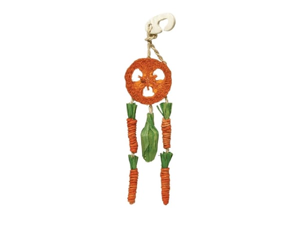 Rosewood Carrot Dream Catcher